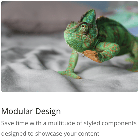 Features - Image 2